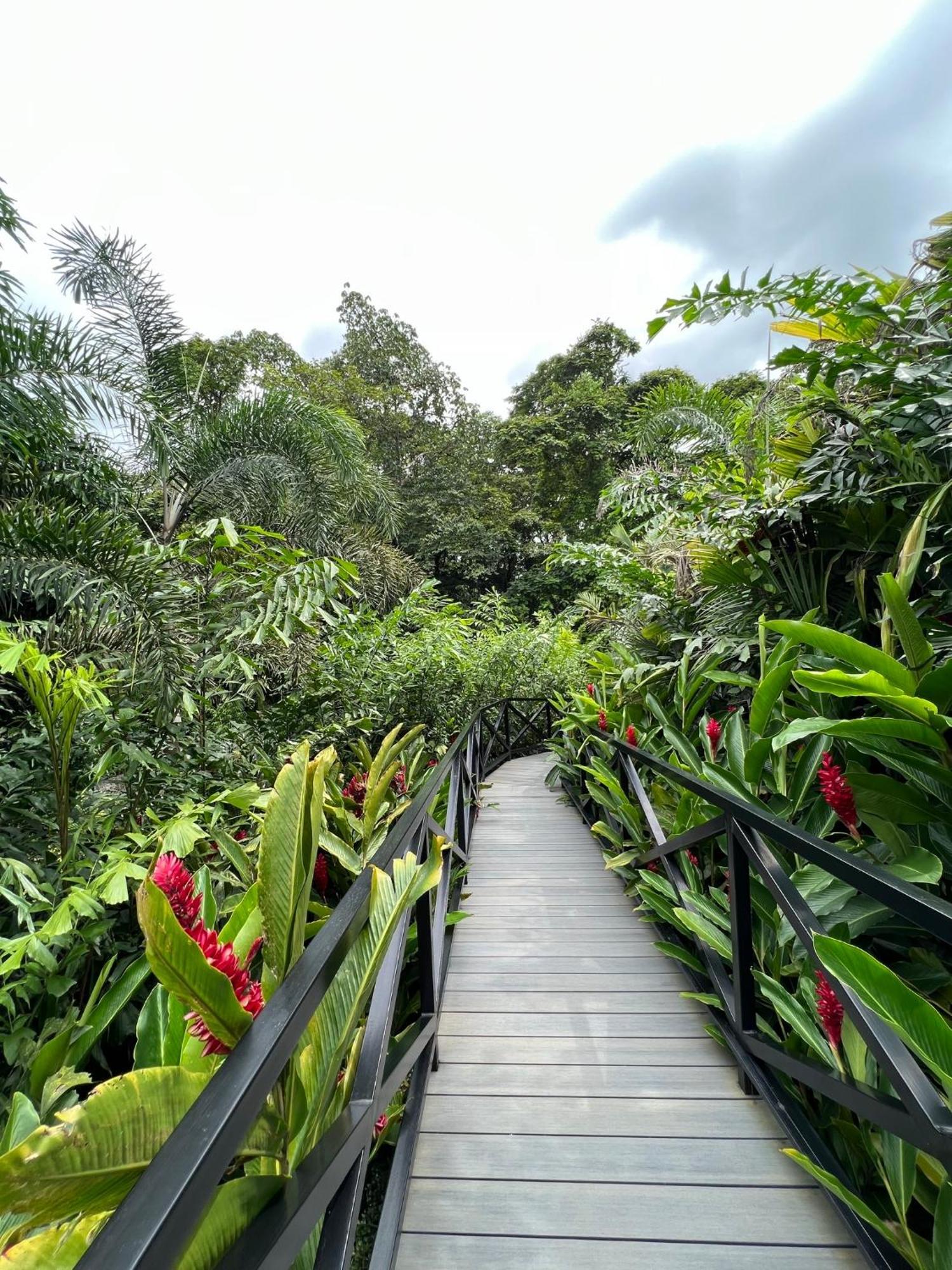 Hotel Boutique Casa Del Rio La Fortuna Екстер'єр фото