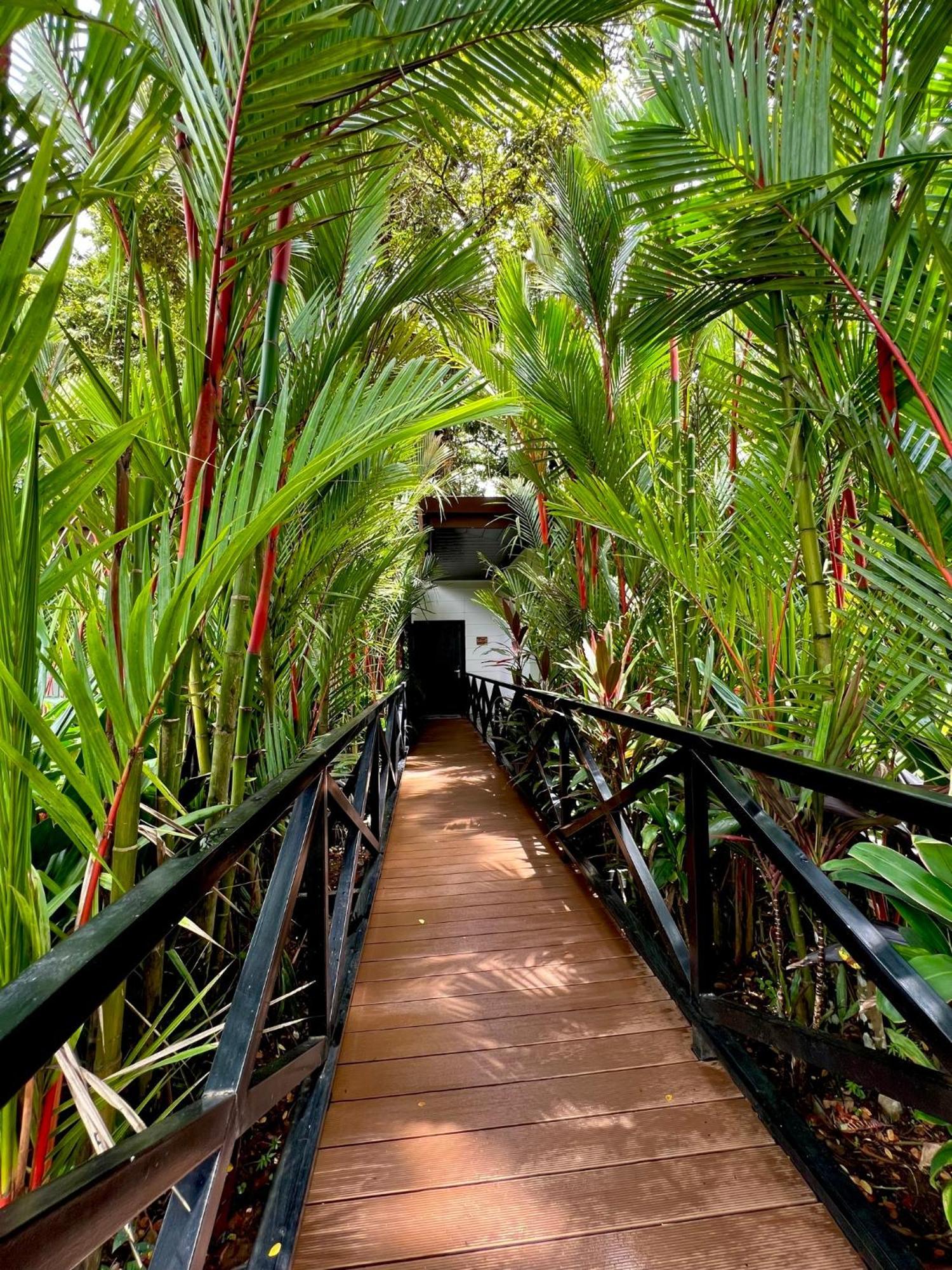 Hotel Boutique Casa Del Rio La Fortuna Екстер'єр фото
